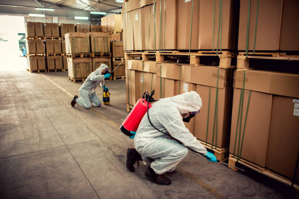 Pest Control Cost in Prospect Park, NJ