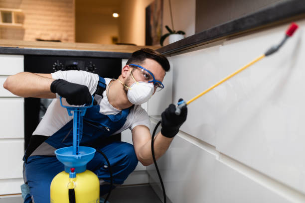 Best Emergency Pest Control  in Prospect Park, NJ