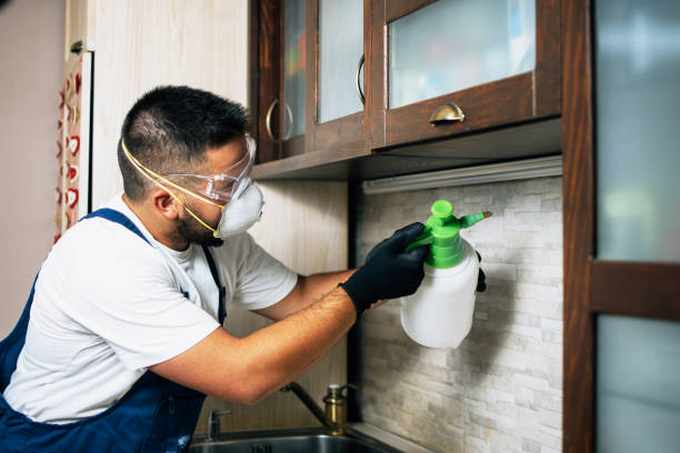 Best Exterminator Services  in Prospect Park, NJ