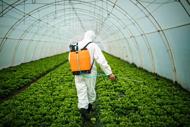 Best Residential Pest Control  in Prospect Park, NJ
