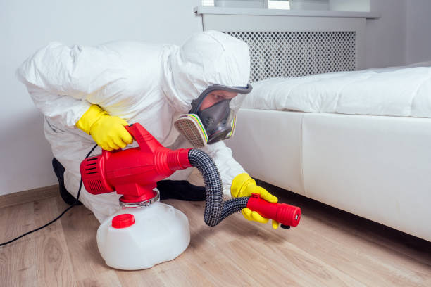 Pest Prevention Services in Prospect Park, NJ