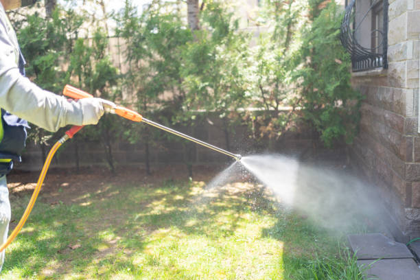 Best Termite Control Services  in Prospect Park, NJ