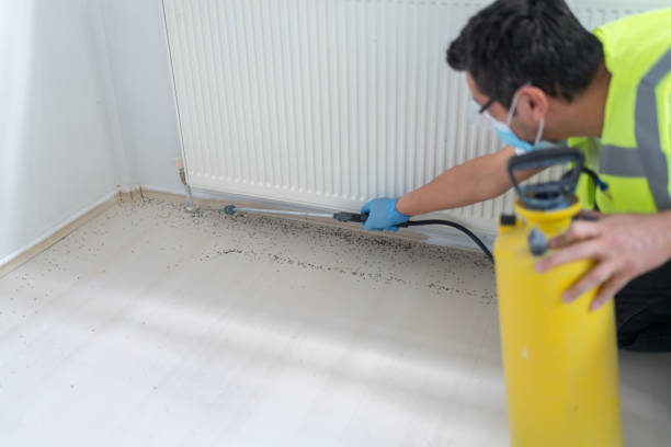 Best Best Pest Control Companies  in Prospect Park, NJ