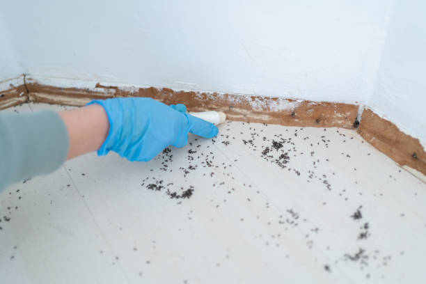 Best Wildlife Control Services  in Prospect Park, NJ