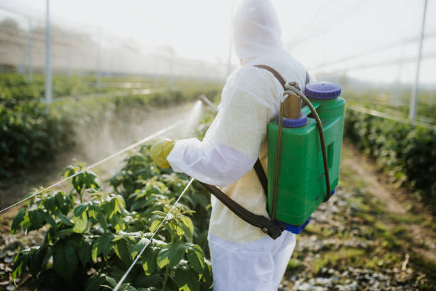 Best Affordable Pest Control Services  in Prospect Park, NJ
